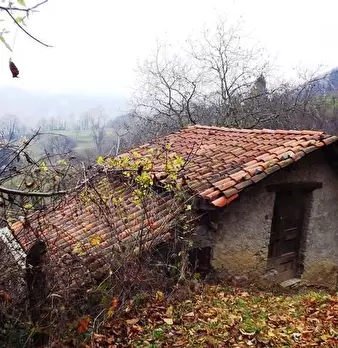 Foto annuncio 9