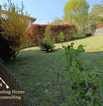 Foto annuncio 31