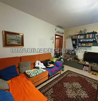 Foto annuncio 5