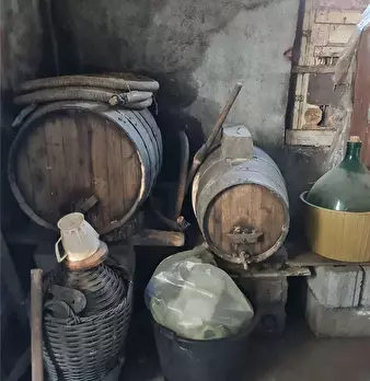 Foto annuncio 4