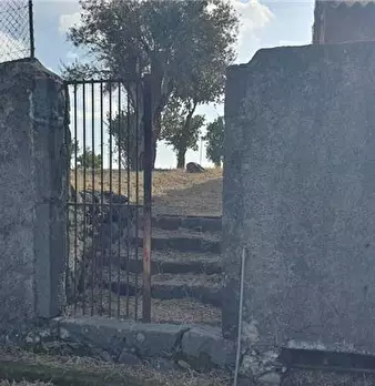 Foto annuncio 4
