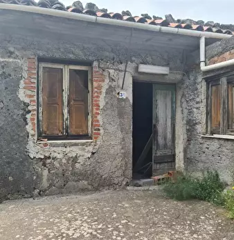 Foto annuncio 4