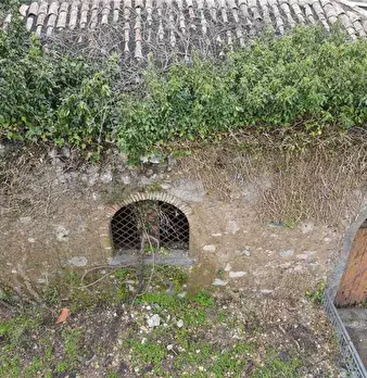 Foto annuncio 3