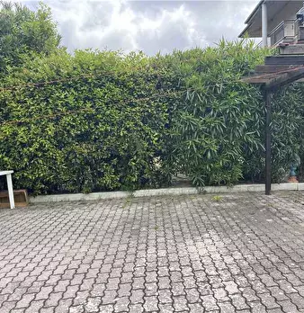 Foto annuncio 4