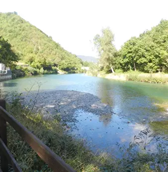 Foto annuncio 10