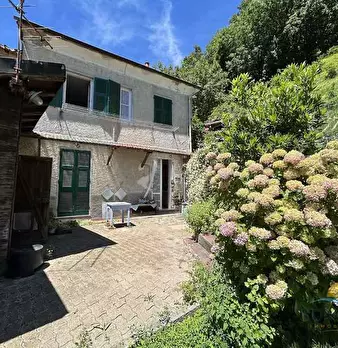 Foto annuncio 5