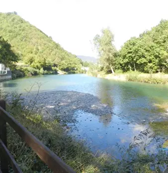 Foto annuncio 14