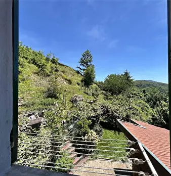 Foto annuncio 6