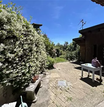 Foto annuncio 7