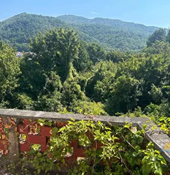 Foto annuncio 3