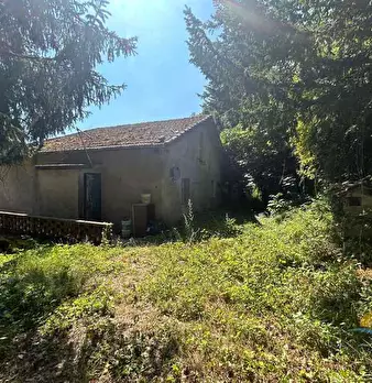 Foto annuncio 6