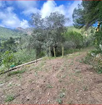Foto annuncio 8
