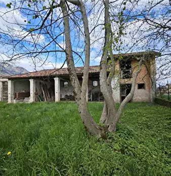 Foto annuncio 3