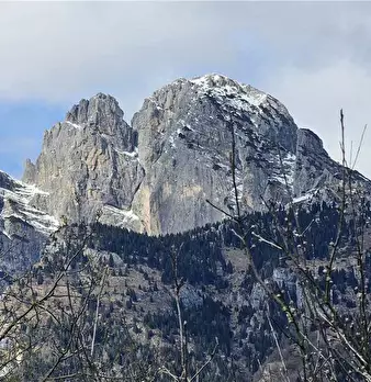 Foto annuncio 5