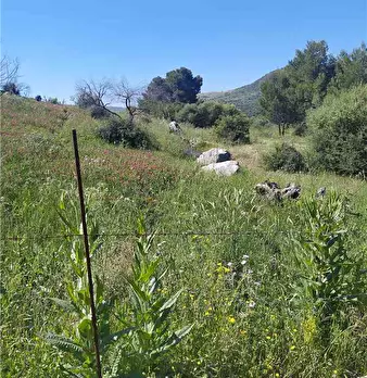 Foto annuncio 2