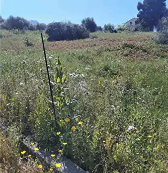 Foto annuncio 3