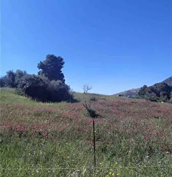 Foto annuncio 4