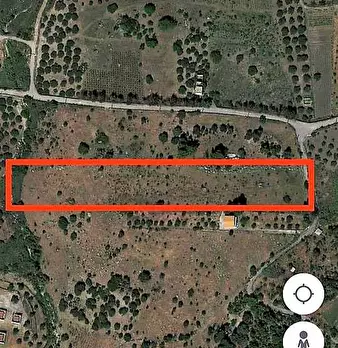 Foto annuncio 6