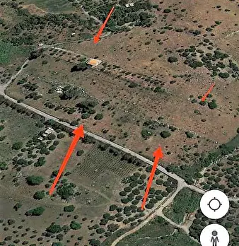 Foto annuncio 7