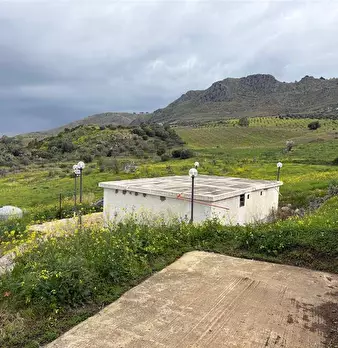 Foto annuncio 8