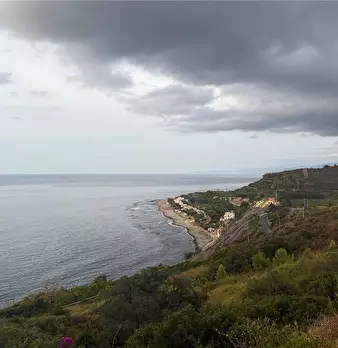 Foto annuncio 8