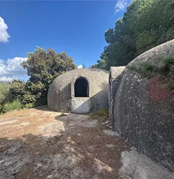 Foto annuncio 2
