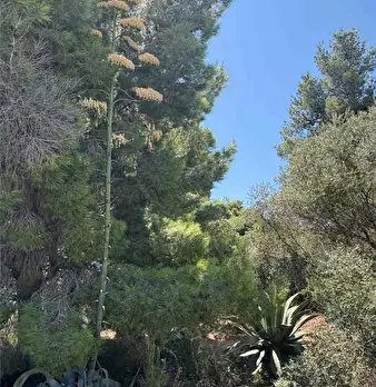 Foto annuncio 8