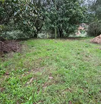 Foto annuncio 2