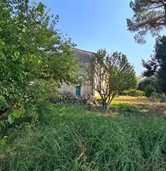 Foto annuncio 3