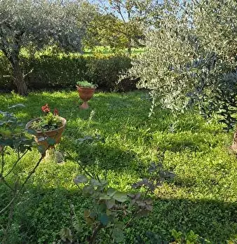 Foto annuncio 2