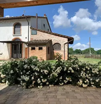 Foto annuncio 1