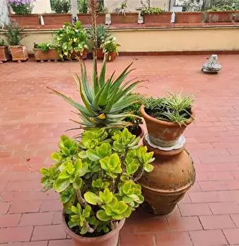 Foto annuncio 1
