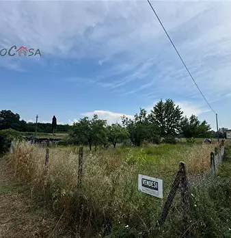 Foto annuncio 5