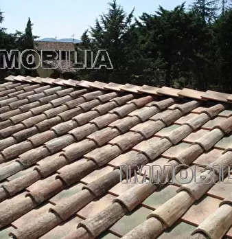 Foto annuncio 4