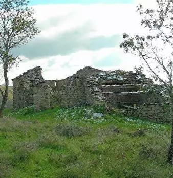 Foto annuncio 2