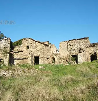 Foto annuncio 4