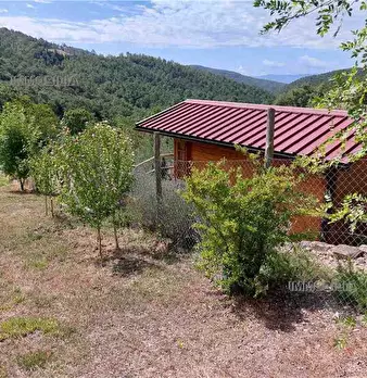 Foto annuncio 19