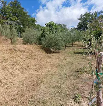 Foto annuncio 21