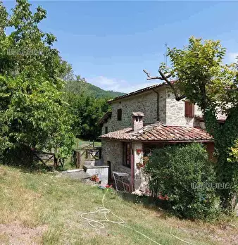 Foto annuncio 20