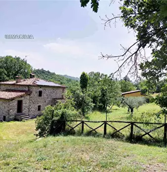 Foto annuncio 25