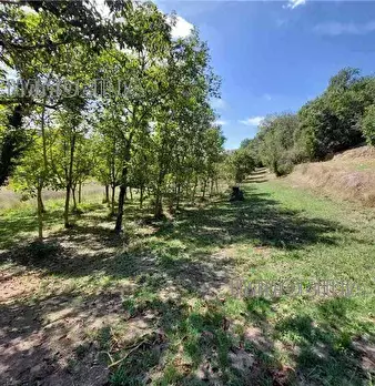 Foto annuncio 11