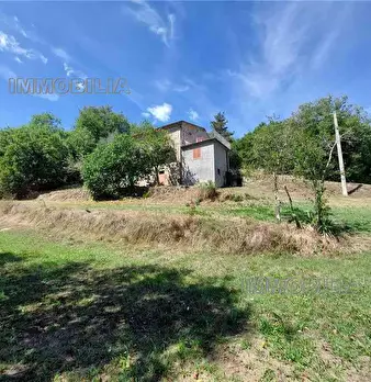 Foto annuncio 12
