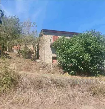 Foto annuncio 13