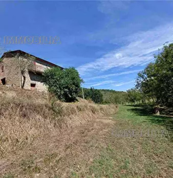 Foto annuncio 14