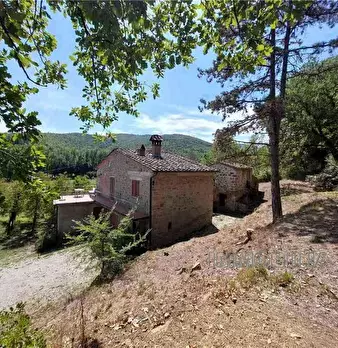 Foto annuncio 6
