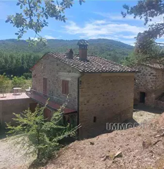 Foto annuncio 7