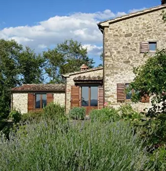 Foto annuncio 5