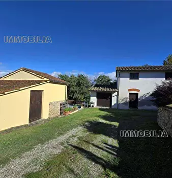 Foto annuncio 16