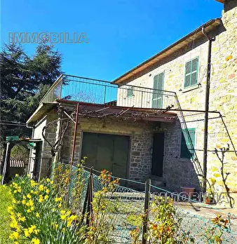 Foto annuncio 10