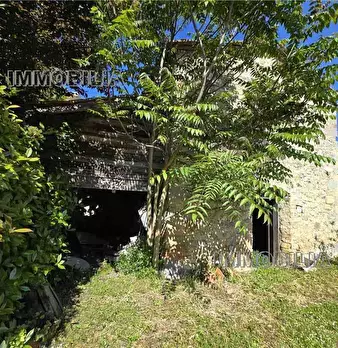 Foto annuncio 5